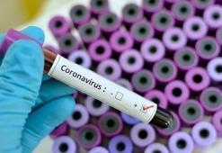İran Meclis Başkanı corona virüse yakalandı