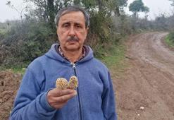 Kilosu 130 lira! Tezgahta yarım saatte tükeniyor