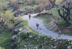 Güvenlik güçleri, 5 sivili şehit eden teröristlerin peşinde