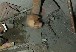 İş merkezinin çatı katında insan kafatası bulundu