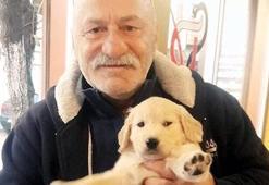 Ali Erkazan köpeğinin katilini arıyor