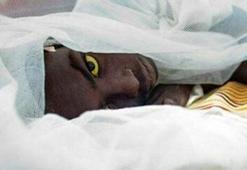 Güney Sudan'ın güneyinde sarı humma salgını başladı