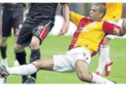 Pitbul PFDK yolcusu