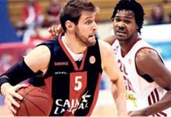 Aslan Nocioni!