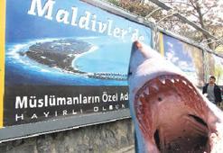 Jet Fadıl bitti ‘Shark(*) Fadıl’ geldi!