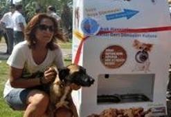 Sokak hayvanları akıllı kutularla doyacak!