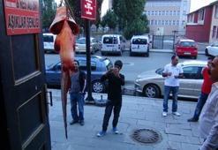 Görenler şaşkına döndü!