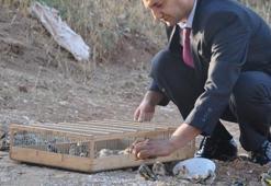 Kimsenin benim namusuma...