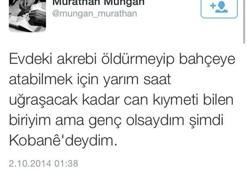 'Genç olsaydım şimdi Kobane'deydim'