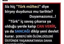 'Türk ya can verir ya sancak diker!'