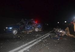 THY uçağının motoruna kuş sürüsü girdi!