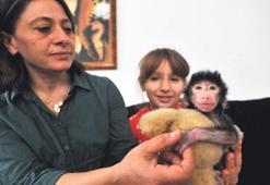 Öksüz kaldı klinik sorumlusu besliyor!