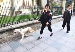 Kısa ve net Gonca!