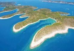 F.Bahçe ada satın alıyor