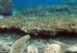 Ege Denizi'nde yeni bir Pompeii bulundu