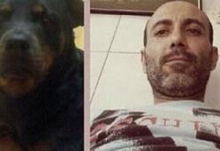Köpeği öldürdü denilmişti! İşin aslı...