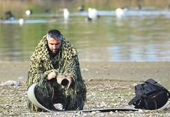 Rize'de 'kutup martısı'