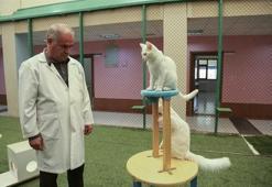 Mart'ı bekleyemediler