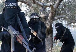 PKK'ya şafak operasyonu