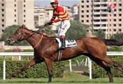 Efsane at hayatını kaybetti
