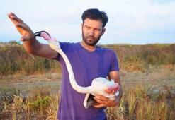 Yaralı flamingoyu balıkçılar kurtardı