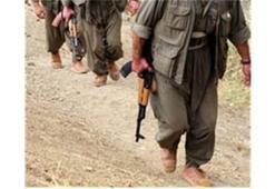 Şırnak'ta 8 terörist teslim oldu
