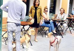 Köpekleri tanıştırdılar!