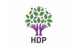 HDP'liler Çin'e gidiyor