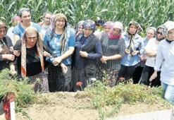 THY kabin amiri, karada canavarın kurbanı oldu!