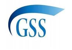 Online Web Tahsilat İle GSS Ve Bağkur Borç Sorgulama