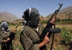 PKK'nın üst düzey yöneticisi yakalandı