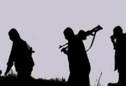 Örgütten kaçan 7 PKK'lı teslim oldu
