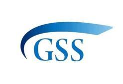 Sgk Borç Sorgulama İle GSS Ve Bağkur Prim Borcu Öğrenebilirsiniz