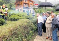 Rize organik çay havzası olacak!