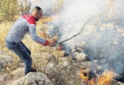Bagok Dağı’nda yangın yayılıyor