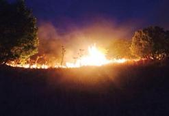 Bursa'da orman yangını