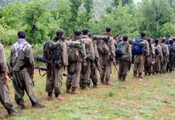 PKK’nın yeni dönem talimatları