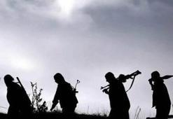 PKK'lının üzerinden çıkanlar şoke etti