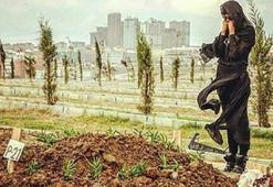 Nazıl Hamarat mezar başında fotoğraf paylaşınca...