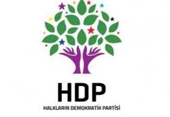 HDP'nin bakanlıkları belli oldu