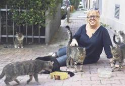İstanbul kedileri bu yabancılara emanet