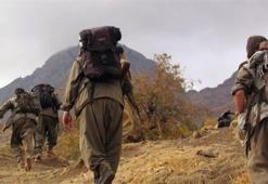 PKK'ya eleman temin eden bir kişi yakalandı