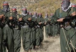 PKK onları serbest bıraktı!