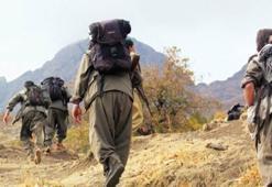 Kuzey Irak'lı Kürtler PKK'ya katılıyor