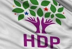 HDP'den 10 büyük miting