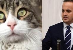 AK Parti’li Turan Şero ile tartıştı