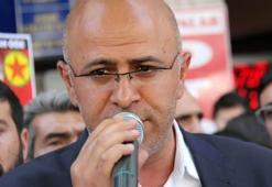HDP'li vekil açıkladı! PKK eylemsizlik ilan edecek