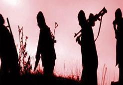 Ağrı'da 5 PKK'lı tutuklandı
