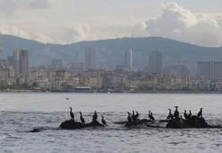 İstanbul'un kayıp adası gün yüzüne çıkarılıyor