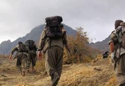 İşte PKK'nın yeni planı
